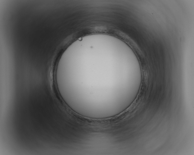 X0000102410729200808011015