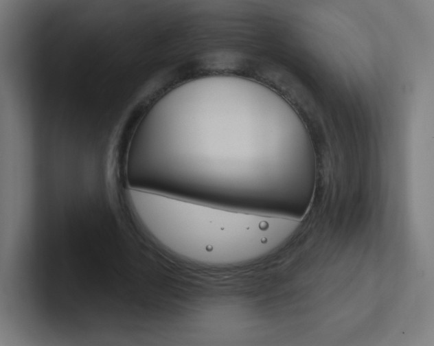 X0000102410731200808011015