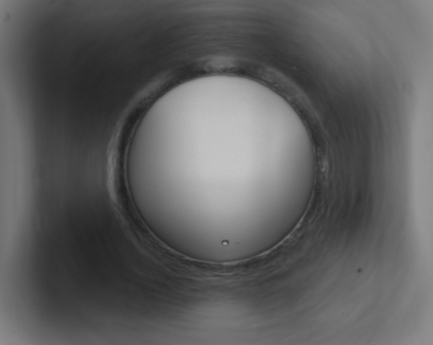 X0000102410732200808011015
