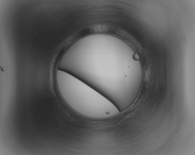 X0000102410733200808011016