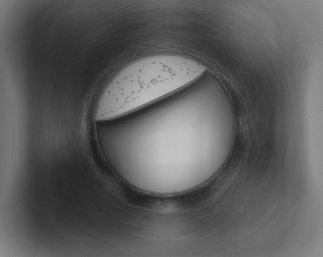 X0000102410735200808011016