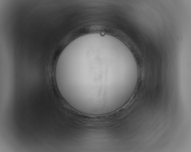X0000102410737200808011016