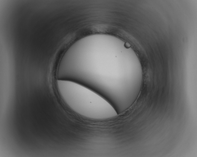 X0000102410738200808011016
