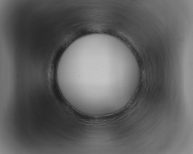 X0000102410739200808011016