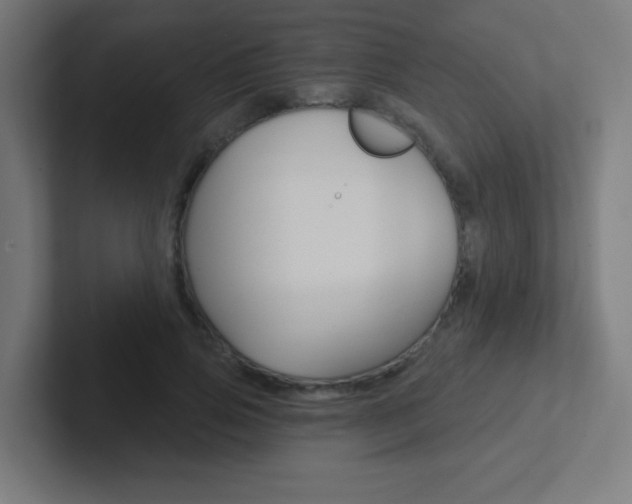 X0000102410741200808011016