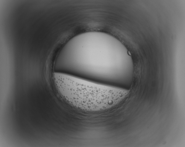X0000102410742200808011016