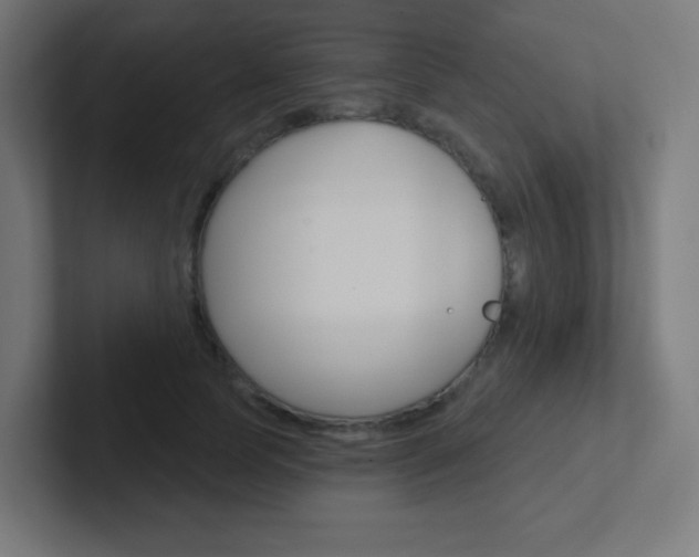 X0000102410745200808011016