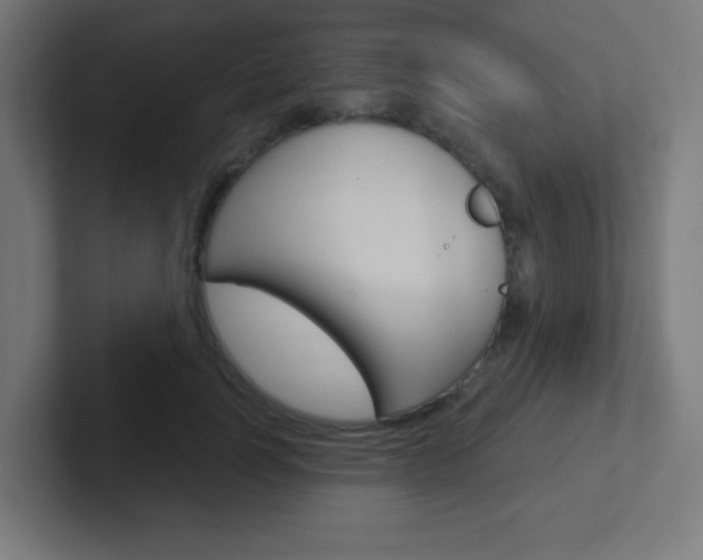 X0000102410746200808011016
