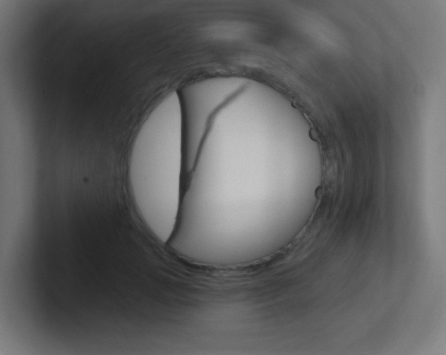 X0000102410749200808011016