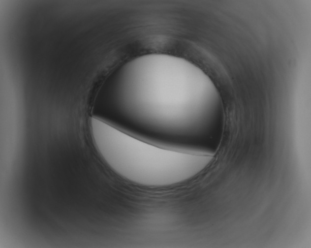 X0000102410750200808011016