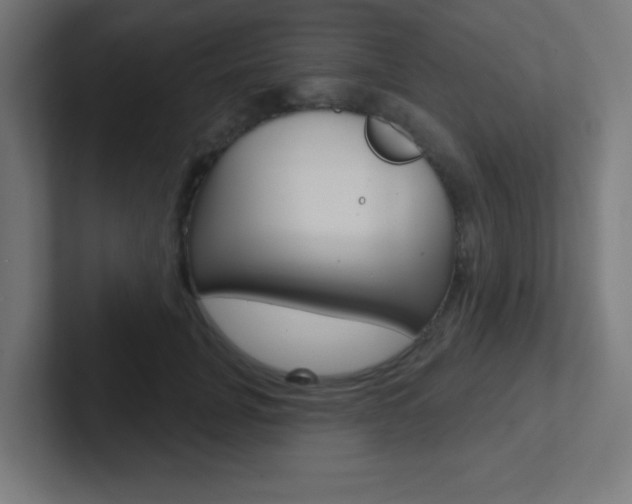 X0000102410751200808011016