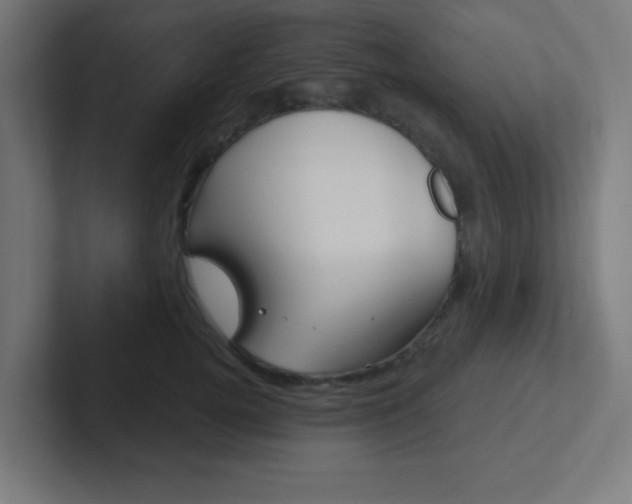 X0000102410752200808011016