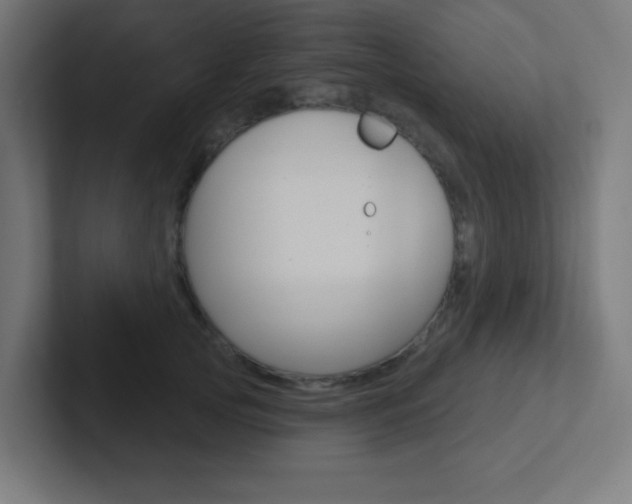 X0000102410753200808011016