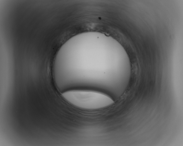 X0000102410754200808011016