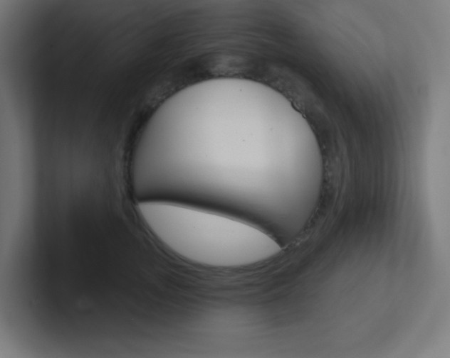 X0000102410755200808011016