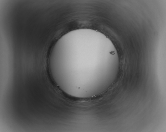 X0000102410756200808011016