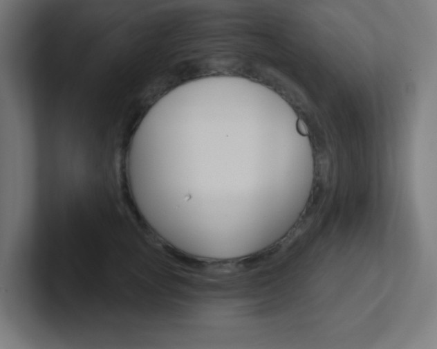 X0000102410757200808011016