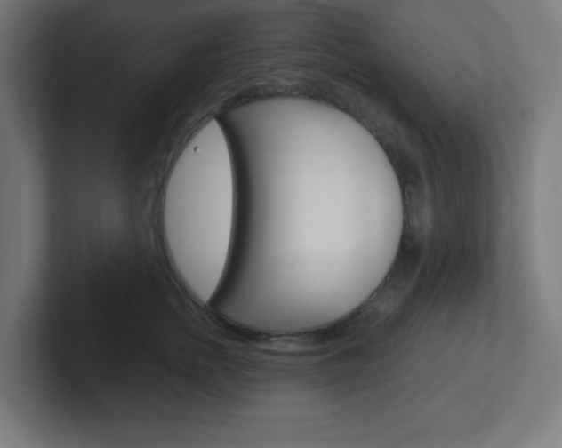 X0000102410758200808011016