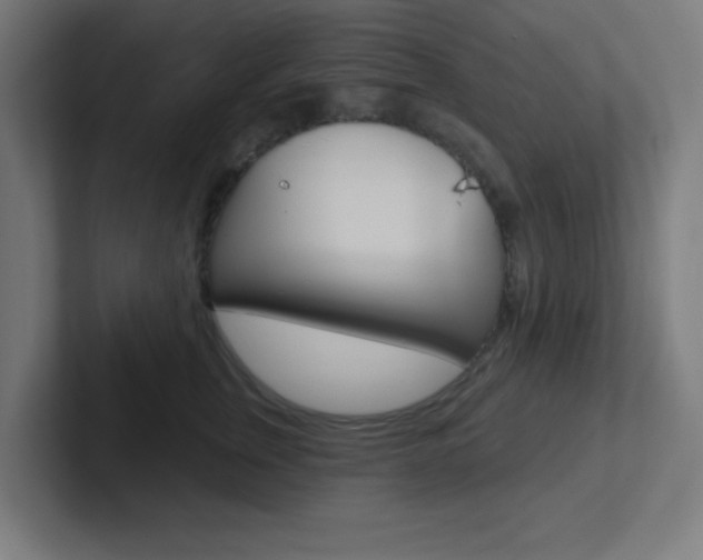 X0000102410759200808011016