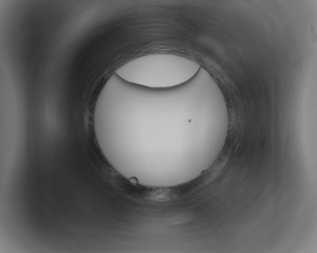 X0000102410761200808011016