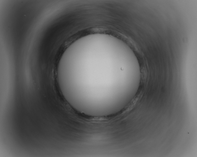 X0000102410762200808011016