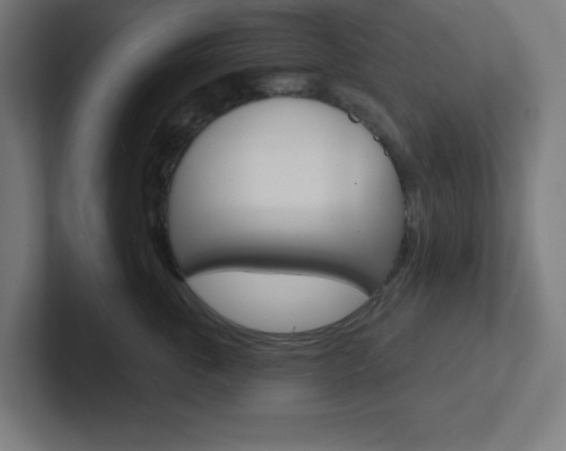 X0000102410763200808011016