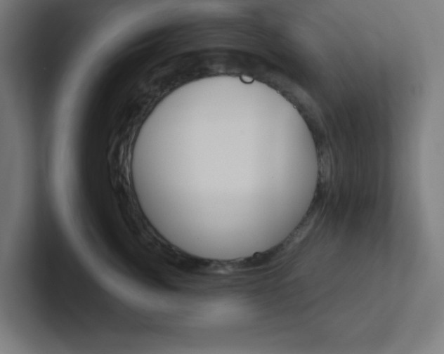 X0000102410764200808011016