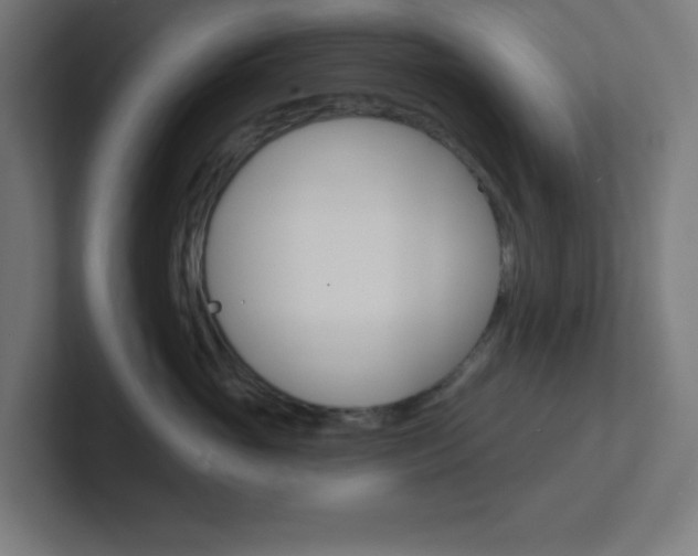 X0000102410765200808011016