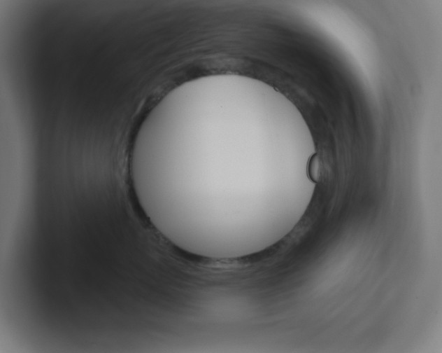X0000102410767200808011016