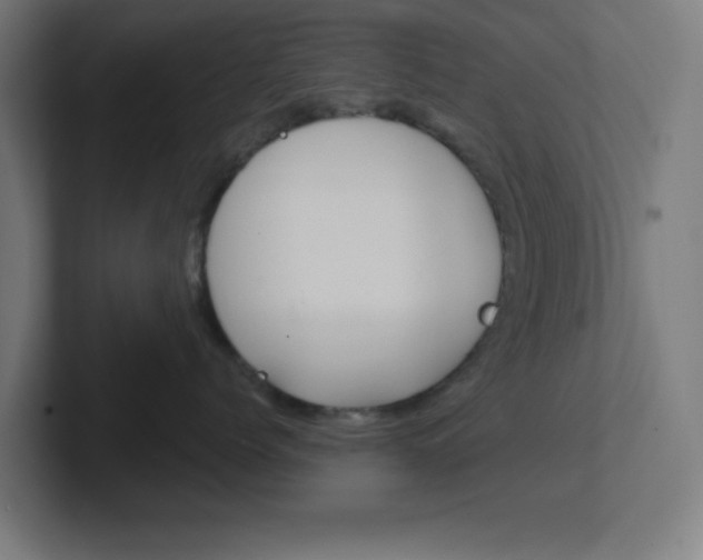 X0000102410768200808011016
