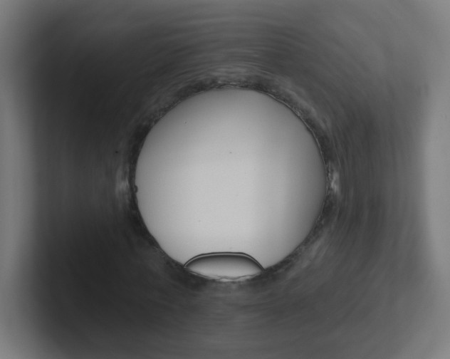 X0000102410771200808011015