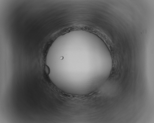 X0000102410773200808011015