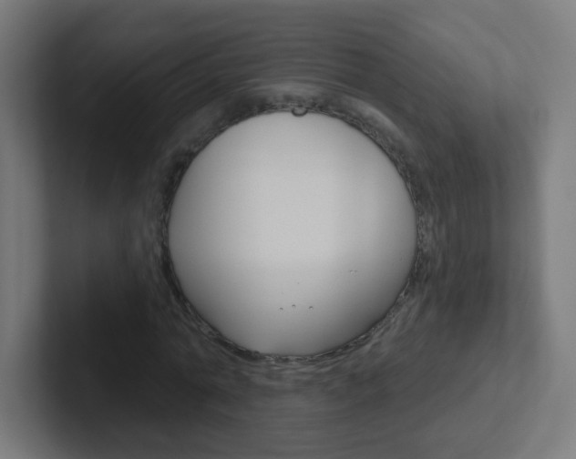 X0000102410774200808011015