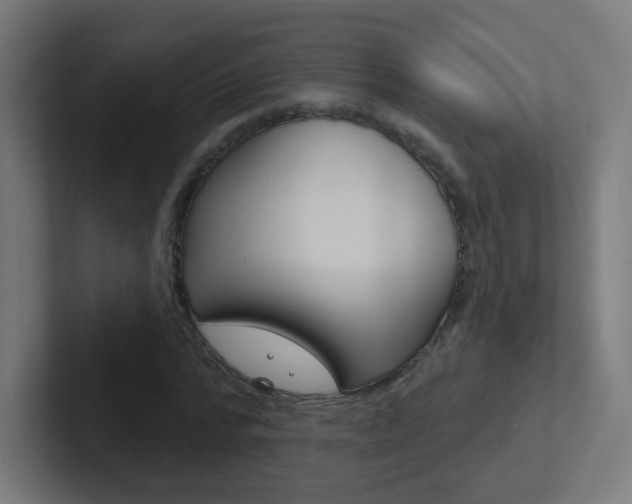 X0000102410776200808011015