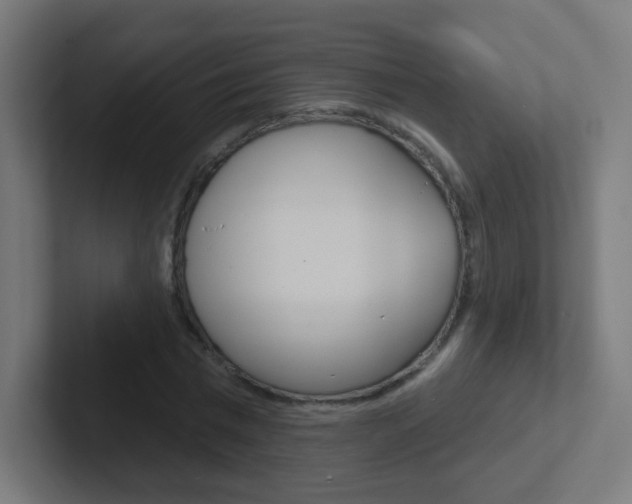 X0000102410777200808011015