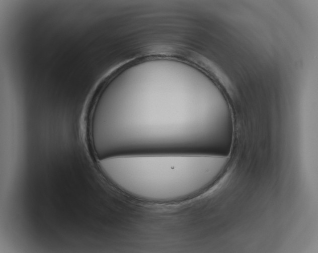 X0000102410779200808011015