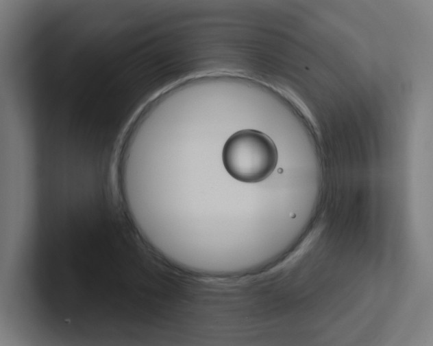 X0000102410781200808011015