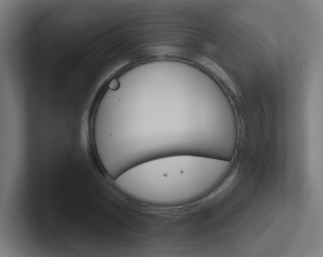 X0000102410782200808011015