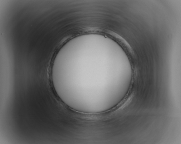 X0000102410785200808011015