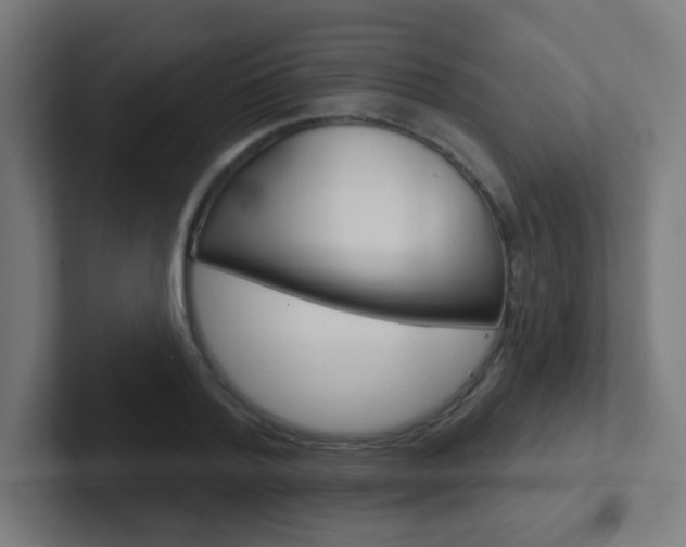 X0000102410788200808011015