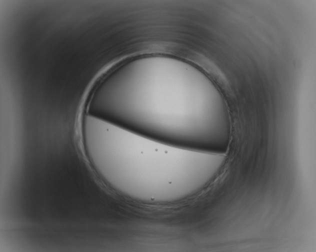 X0000102410792200808011015