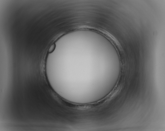 X0000102410793200808011015