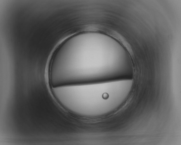 X0000102410795200808011015