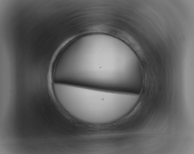 X0000102410796200808011015