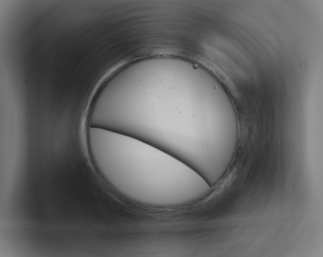 X0000102410798200808011015
