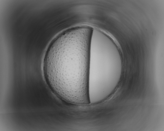 X0000102410799200808011015