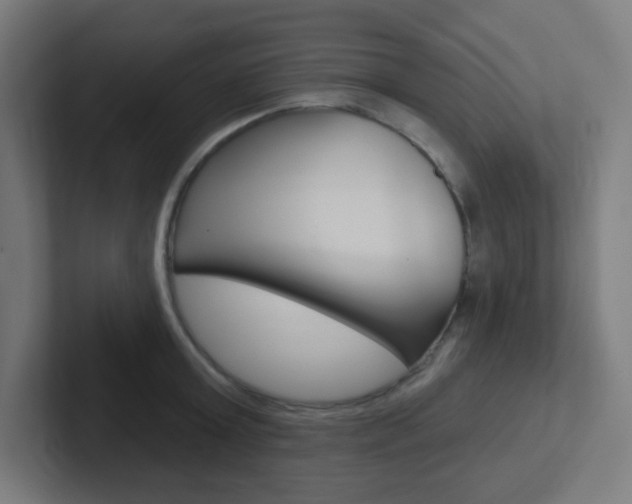 X0000102410803200808011015