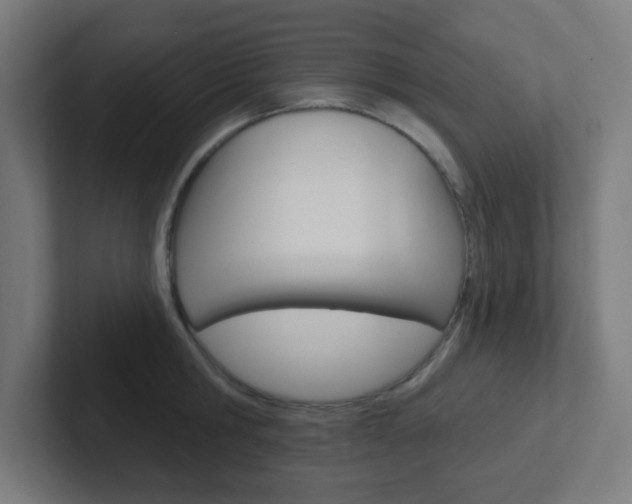 X0000102410806200808011015