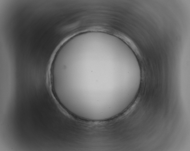 X0000102410808200808011015