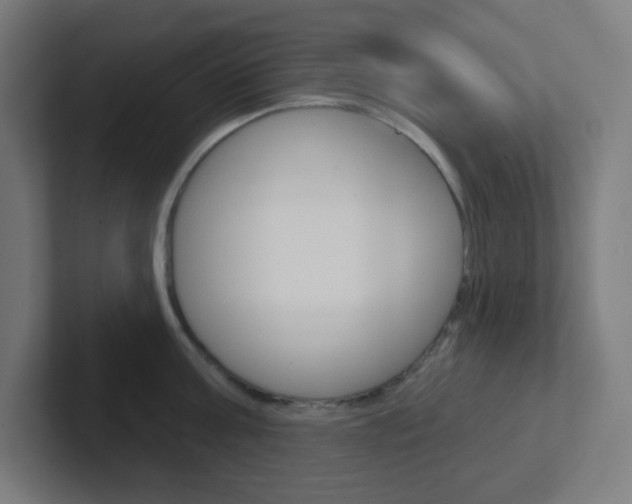 X0000102410811200808011015